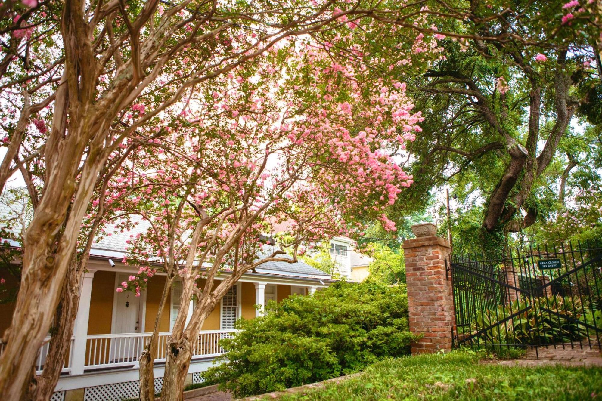 Anchuca Historic Mansion & Inn Vicksburg Buitenkant foto